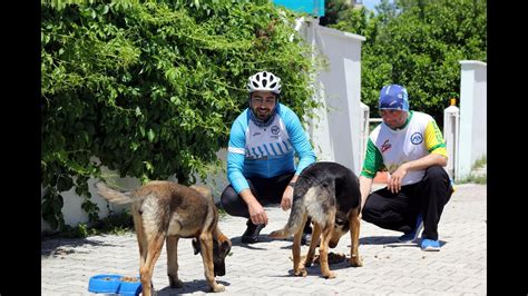 Pedallar sokak hayvanlarını beslemek için çevrildi YouTube