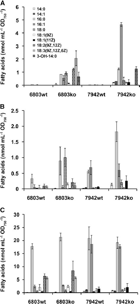 Fatty Acid Profiles Of Cells And Culture Medium Of Wild Type And Aas