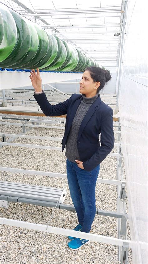 Dr Ambika H D On Linkedin Environment Microalgae Pbr Cultivation Growth Ph Quality