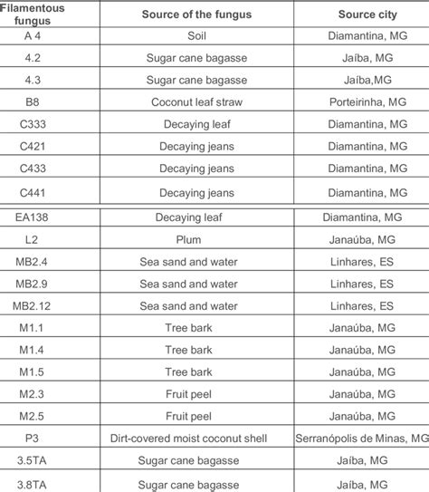 The local and sample from which the filamentous fungi were isolated ...