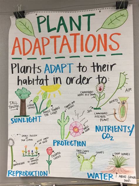 Plant Adaptations Anchor Chart Science Anchor Charts Plant