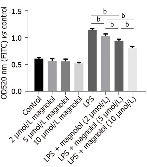 Effects Of Different Concentrations Of Magnolol On Caco2 Cell