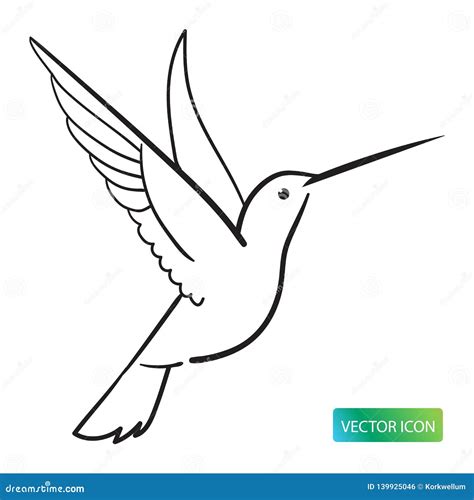 Hummingbird Icon Or Logo Design Vector Image On White Background