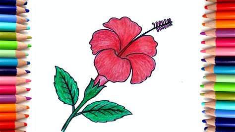 Hibiscus Flower Sketch Step By Step