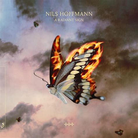 Nils Hoffmann A Radiant Sign Lyrics And Tracklist Genius