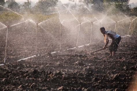 Modern Irrigation Methods In Agriculture