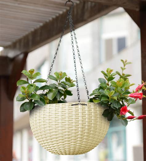 Hanging Pots: Explore our Stylish Collection of Hanging Pots for Plants