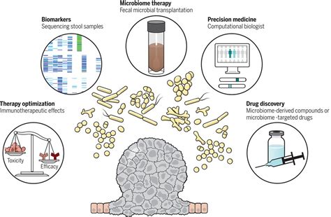 The Microbiome In Cancer Immunotherapy Diagnostic Tools And