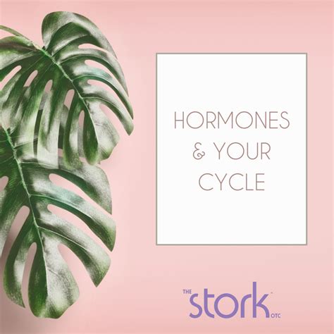 The Stork Blog The Stork® Otc Home Conception Aid