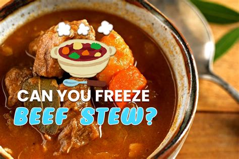 Can You Freeze Beef Stew Updated 2025 Recipe Marker