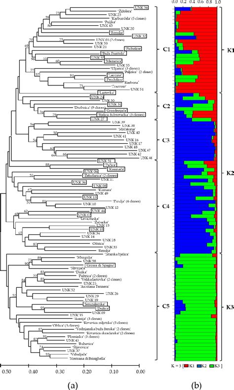 Figure From Genotyping Of Croatian Olive Germplasm With Consensus Ssr