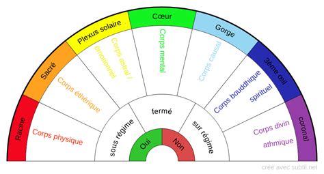 Subtil Biom Tre Taux De Vitalit Et Chakras Sant Holistique