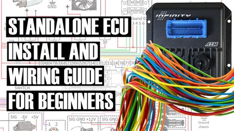 Beginner Guide To Ecu Install And Wiring Editable Wiring Diagram