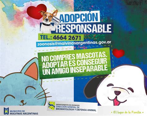 Comenz El Programa Municipal De Adopci N Responsable El Diario De