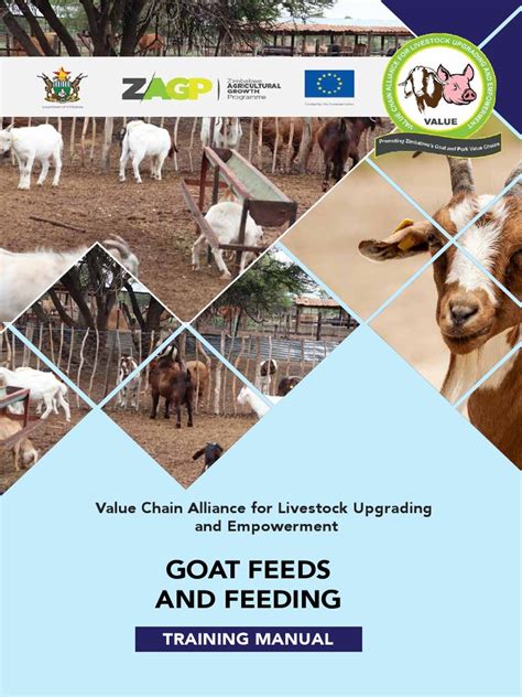 Goat Feeds And Feeding Training Manual Pdf Nutrients Goat