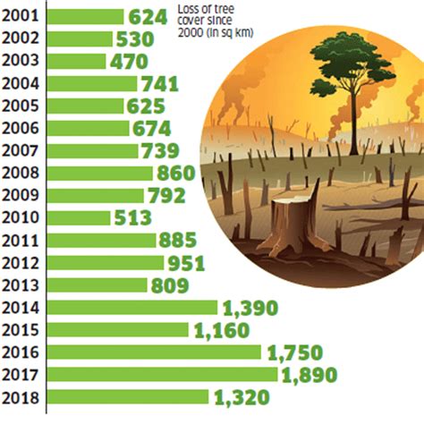 Forest Cover Mumbai S Aarey Protests Have Rekindled The Debate Over