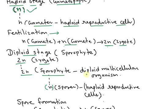 SOLVED: Write the schematic representation of haplo-diplontic life ...