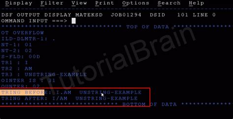 Cobol String Handling — Tutorialbrain