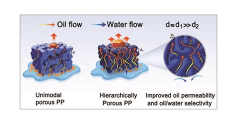 Hydrophobic Porous Polypropylene With Hierarchical Structures For