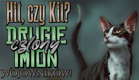 Hit czy Kit Drugie człony imion wojowników sameQuizy