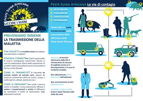 PESTE SUINA AFRICANA Misure Di Prevenzione I Love Pescia