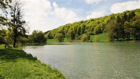 Pourquoi L Entretien Des Cours D Eau Doit Tre Pris Au S Rieux Ici