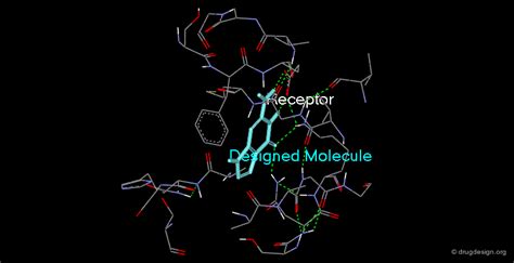 Introduction to Protein-Ligand Binding - Drug Design Org