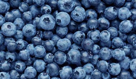 Blue Berries Health Benefits And Nutritional Importance