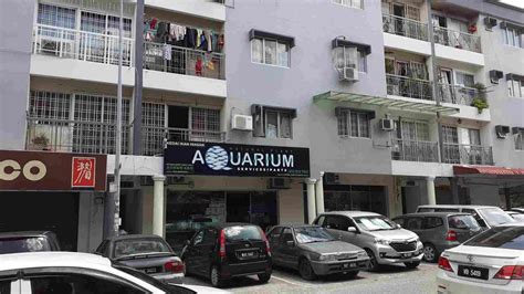 TOP 9 Kedai Aquarium Cheras Terbaik