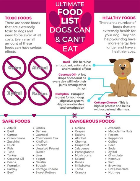 Toxic Foods For Dogs Printable