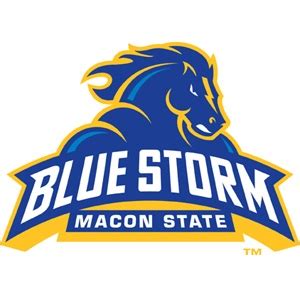 Macon State College Blue Storm | MascotDB.com