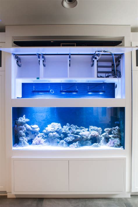 Built-in Saltwater fish tank cabinetry with flip up flat screen tv.