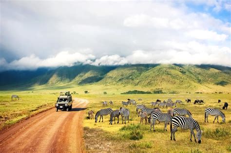 Mombasa Air Safari Explore Kenya Wildlife With Best Air Safari Packages