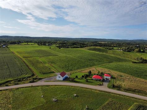 Nova Scotia Vineyard For Sale Vinesmart