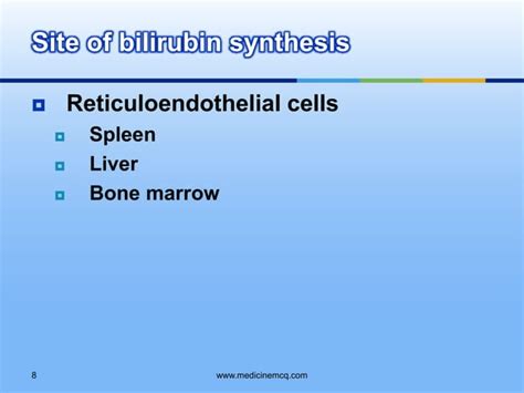 Liver Bilirubin Metabolism Jaundice Ppt