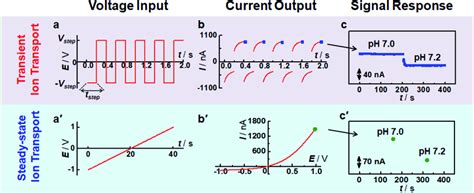 Comparison Of Sensing Response Time Based On Transient Ion Transport