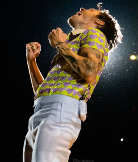 Harry Styles Love On Tour Tours Concert Concerts