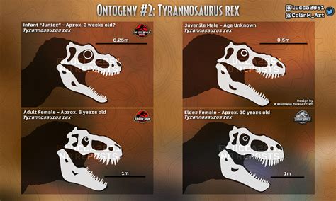 Jurassic Park Trex Skeletal Jurassic Park Know Your Meme