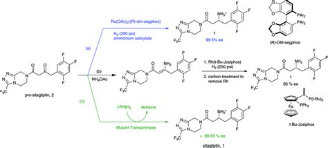 sitagliptin « New Drug Approvals