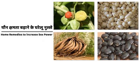 यौन क्षमता बढ़ाने के घरेलू नुस्खे Home Remedies To Increase Sex Power Daily Good News