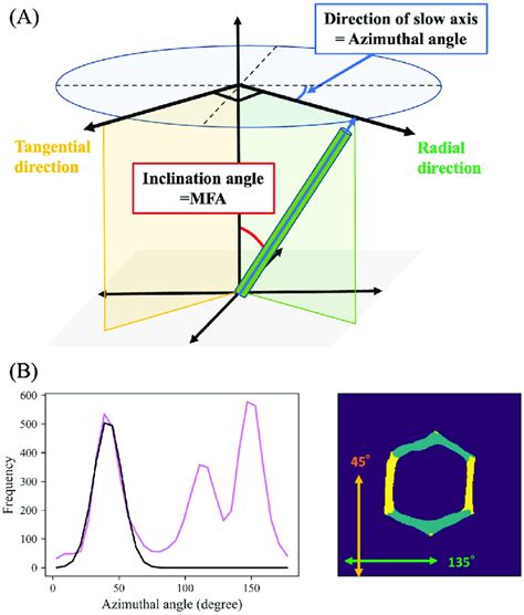 Azimuthal Angle Calculation From Retardation Imaging And Selective Download Scientific Diagram