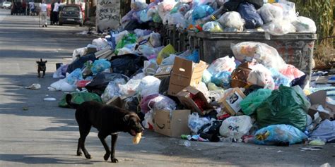 A Palermo Ancora Tonnellate Di Spazzatura In Strada Giornale Di Sicilia