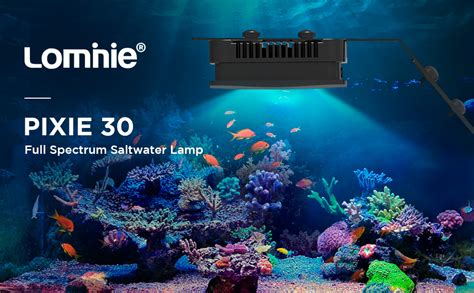 Amazon Lominie Led Aquarium Light Full Spectrum Fish Tank Light