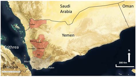 Arabica Coffee: Journey, Cultivation, and Global Influence