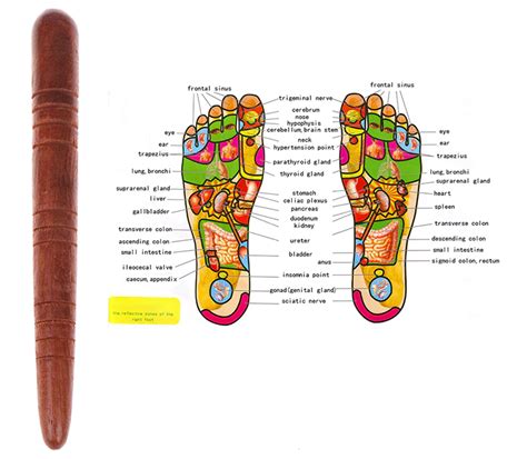 Printable Acupressure Points Chart