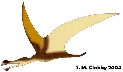 Dinowight Ornithocheirus An Ornithocheirid Pterosaur From The Isle