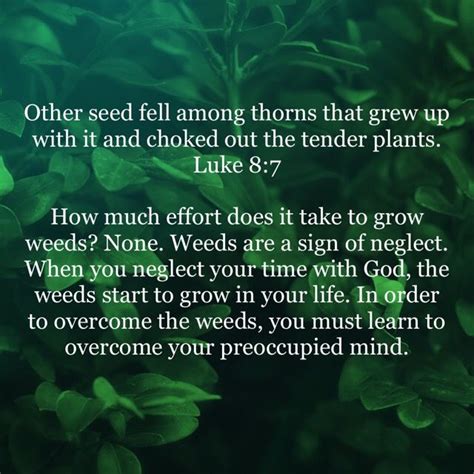 Luke 8 7 Other Seed Fell Among Thorns That Grew Up With It And Choked