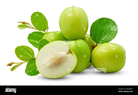 Fresh Green Jujube Fruits Isolated On White Background Stock Photo Alamy