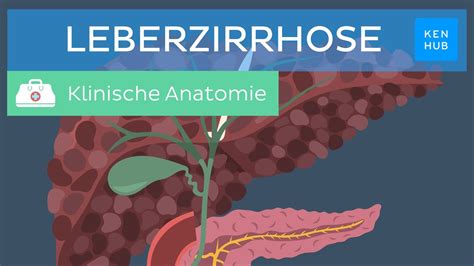 Leberzirrhose Ursachen Symptome Diagnose Behandlung Kenhub YouTube