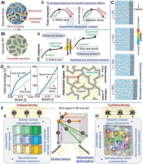 Unprecedented Strength Enhancement Observed In Interpenetrating Phase